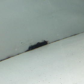 綺麗な個体なんです(ﾟOﾟ)＼(- -;逆に不細工でも治してあげたいです。命ある生き物ですから！の画像