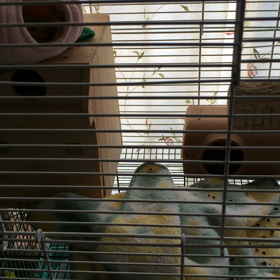 寝起きドッキリ(与作編)の画像