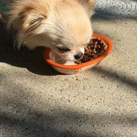 ありがと♡の画像