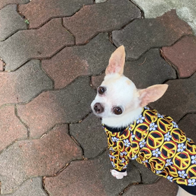 嵐の前の静けさ？の画像