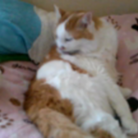 本日も…の画像