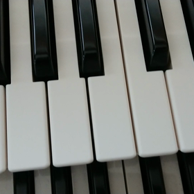 サクライさんおめでとうの画像