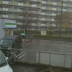 朝から氷雨寒い本格的‼の画像