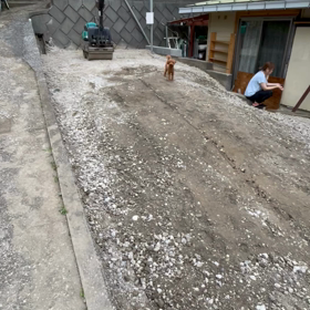 狭いドッグランで気が変わるの画像
