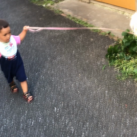 してるんだか、されてるんだかの画像