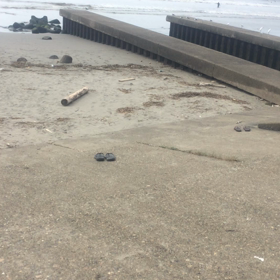 テスト動画？の画像