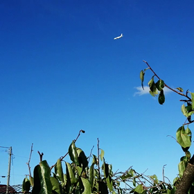 青空にジェット機✈の画像