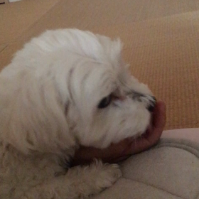 【私の自己紹介】ブログ始めました！の画像