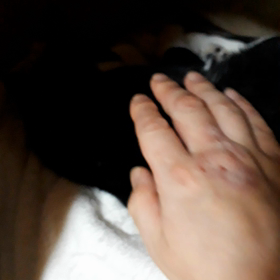 起こされたの画像