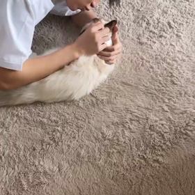 20210528 Bright IGSの画像