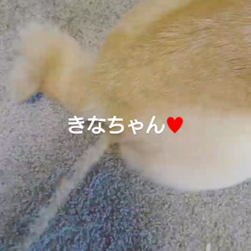 ♡︎HAPPY NEW YEAR♡︎2018の画像