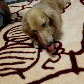 元気になぁ➰れ♥の画像