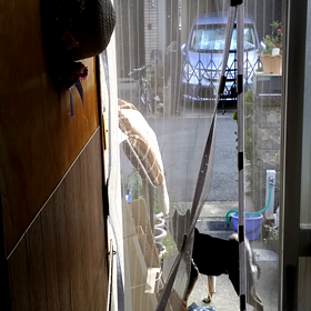 ヨイショヨイショ(動画)の画像