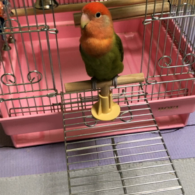 久しぶりです。の画像