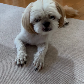 睡魔と闘うの画像