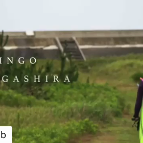 Rise 2seasonの画像