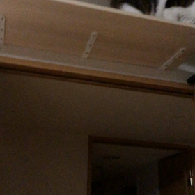 2日続けて…雨に降られ、寝不足に…の画像