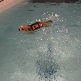 お兄ちゃんぶってる？？？の画像