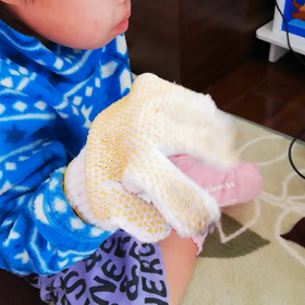 すみすみ歌うの画像