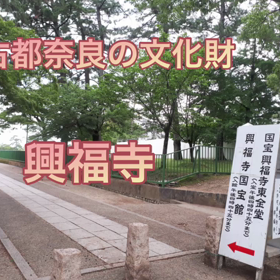 世界遺産『興福寺』の画像