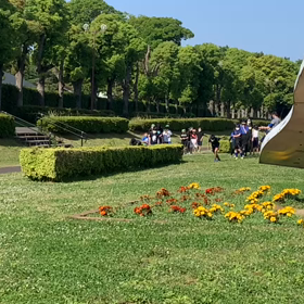 往復ダッシュ⑩の画像