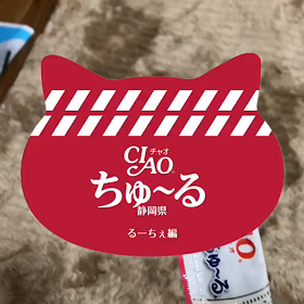 ちゅーるちゅーるチャオちゅーるの画像