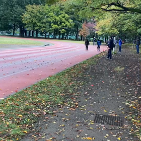 競技場練習⑬の画像