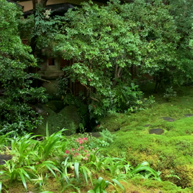 雨の瑠璃光院2の画像