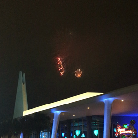 ランドの花火。の画像