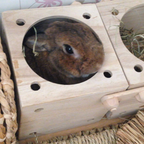 怒りのプーo(｀ω´ )oの画像
