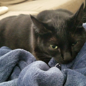 シャワー中に水止まるの巻の画像