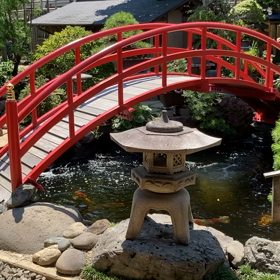 大人の遠足の画像