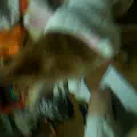 幼いるびー☆の画像