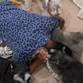 頼むーーー(>_<)の画像