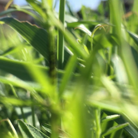 サラダバーの画像