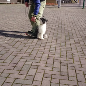 トレーニング納めの画像