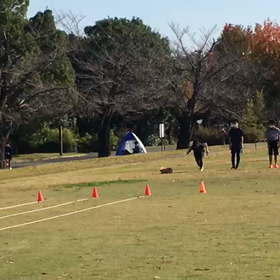 チャレンジカップリレー練習 29の画像