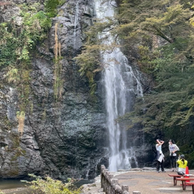 今日の滝の画像