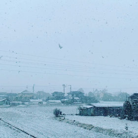 えー∑(ﾟДﾟ)の画像