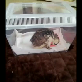 無事に❗の画像