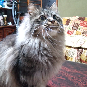 何本目？の画像