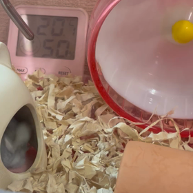 やっほー☺️の画像