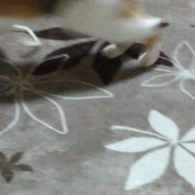 ひとり遊びの画像