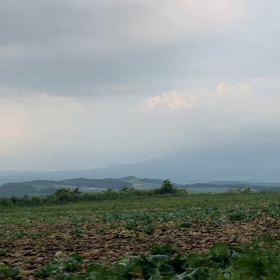 願いを叶える場所の話の画像