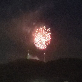 夏だね♪♪(*´Д｀*) リグとカラスとチリンチリンの画像