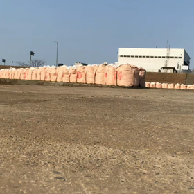 今日の横乗り2ラウンド目はスケートの画像