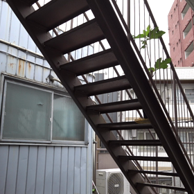 さて、今日も日課の「懸垂」始めました♪の画像