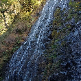 何故か画像がアップされませんでしたの画像