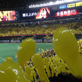 続 秋の行楽inFＵKの画像