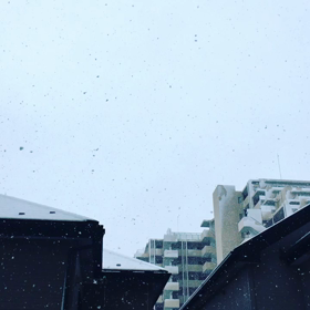 朝から雪の画像